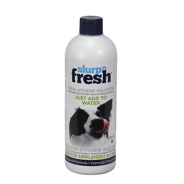 Slurp 'n Fresh Oral Hygiene Solution 400 mL - Pisces Pet Emporium