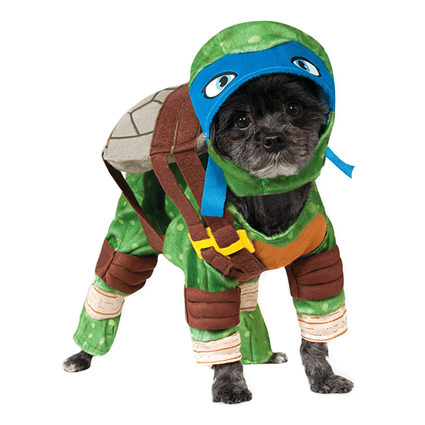 Teenage Mutant Ninja Turtles Leonardo - Medium - Pisces Pet Emporium