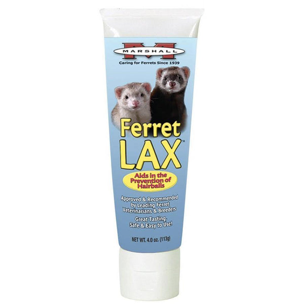 Marshall Ferret LAX - Pisces Pet Emporium