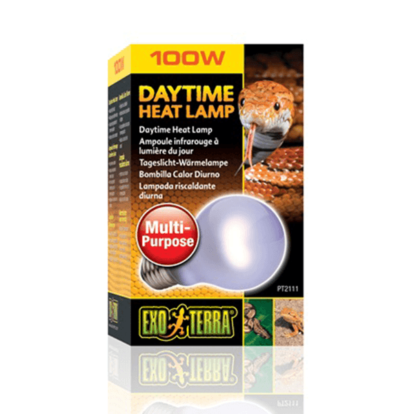 Exo Terra Daytime Heat Lamp - 100 W - Pisces Pet Emporium