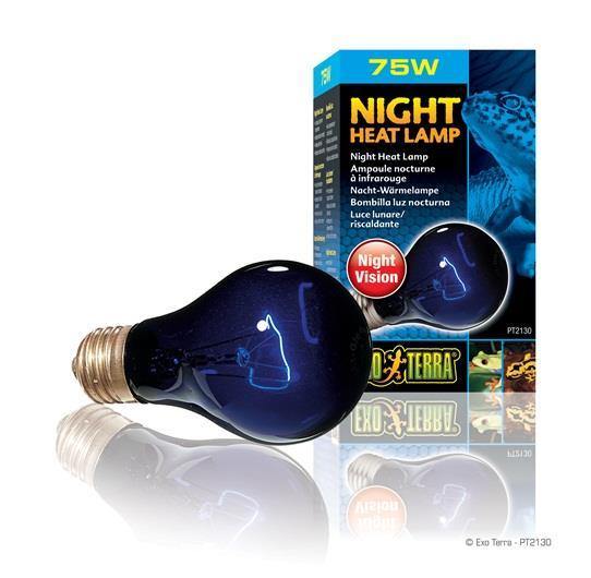 Exo Terra Night Heat Lamp - 75W - Pisces Pet Emporium