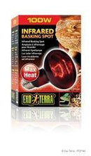 Exo Terra Infrared Basking Spot - 100 W - Pisces Pet Emporium