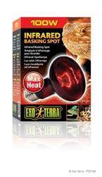 Exo Terra Infrared Basking Spot - 100 W - Pisces Pet Emporium