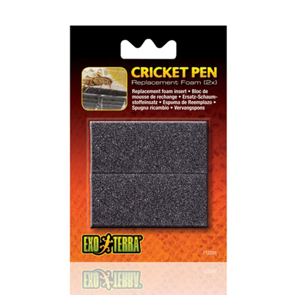 Exo Terra Cricket Pen Replacement Foam - 2 Pack - Pisces Pet Emporium
