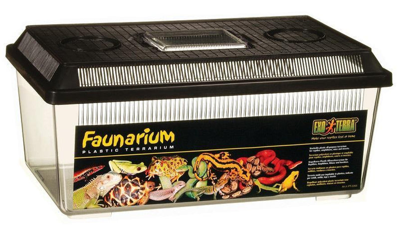 Exo Terra Faunarium Flat - Medium - Pisces Pet Emporium