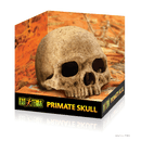 Exo Terra Primate Skull - Pisces Pet Emporium