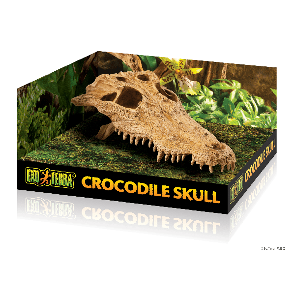 Exo Terra Crocodile Skull - Pisces Pet Emporium
