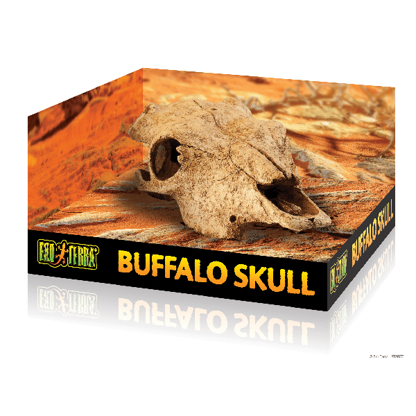 Exo Terra Buffalo Skull - Pisces Pet Emporium