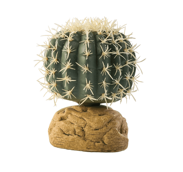 Exo Terra Barrel Cactus - Small - Pisces Pet Emporium