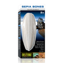 Exo Terra Sepia Bones 2 Pack - Pisces Pet Emporium