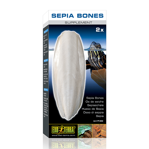 Exo Terra Sepia Bones 2 Pack - Pisces Pet Emporium