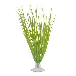 Marina Betta Hairgrass Plant with Suction Cup - Pisces Pet Emporium