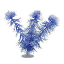 Marina Betta Plant Hornwort with Suction Cup - Pisces Pet Emporium