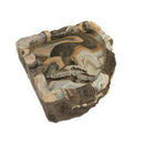 Pet-Tekk Habi-Scape Corner Bowl - Medium - Pisces Pet Emporium