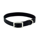 Coastal Single-Ply Dog Collar - Pisces Pet Emporium
