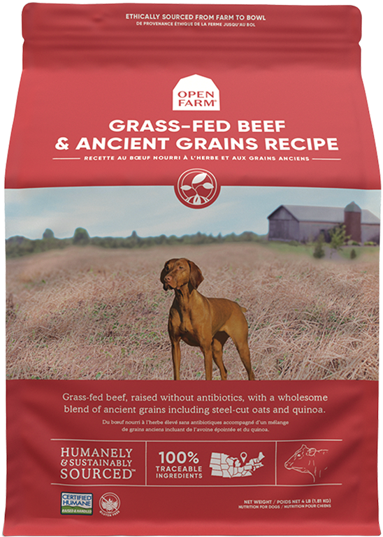 Open Farm Ancient Grains Beef Dog Food | Pisces