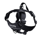 RC Pets Black Momentum Control Harness - Available in 4 Sizes - Pisces Pet Emporium