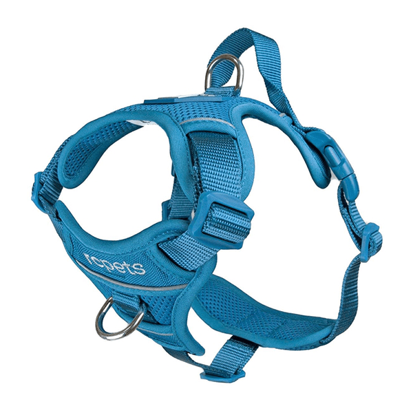 RC Pets Teal Momentum Control Harness - Available in 4 Sizes - Pisces Pet Emporium