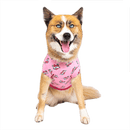 Canada Pooch Follow Me Tee - Pisces Pet Emporium