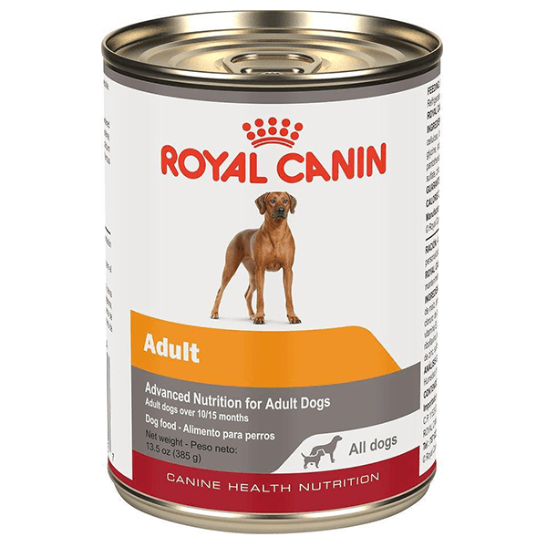 Royal Canin Adult Dog Food 385 g - Pisces Pet Emporium