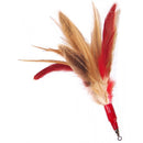 Go Cat - Da Wild Thing - Pisces Pet Emporium