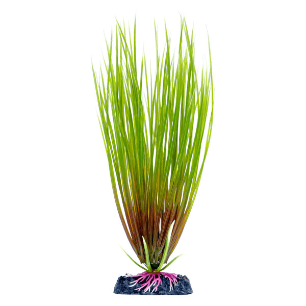 Penn Plax Sinkers Large Hair Grass - Pisces Pet Emporium