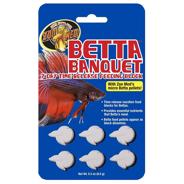 Betta blocks outlet