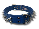 Angel Amsterdam Collar - Cobalt Blue - Pisces Pet Emporium