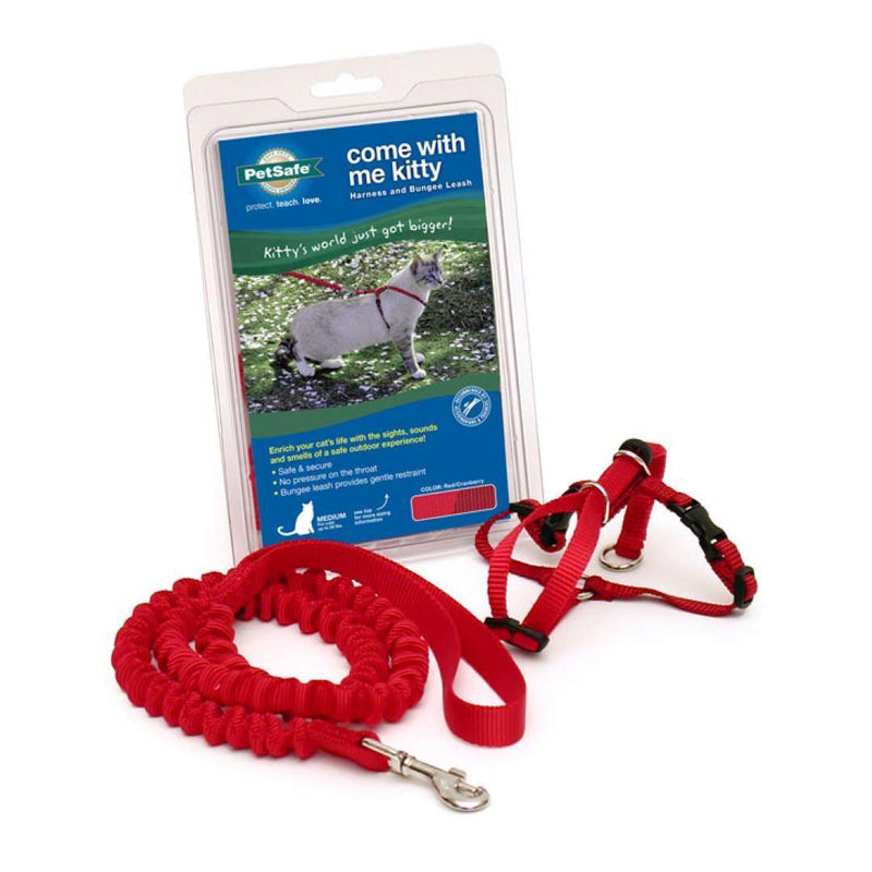 Pet Safe Come With Me Kitty Harness - Red & Cranberry - Pisces Pet Emporium