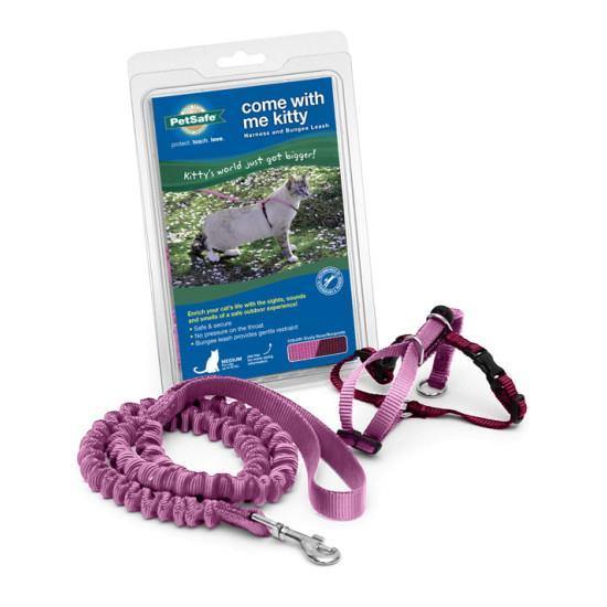 Pet Safe Come With Me Kitty Harness - Burgundy & Rose - Pisces Pet Emporium