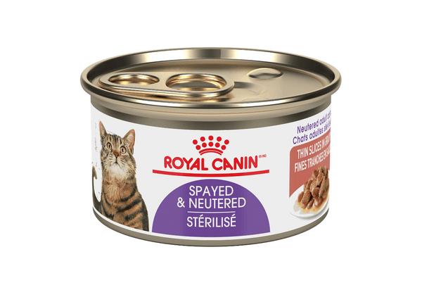 Royal Canin Spayed & Neutered Adult Cat Thin Slices in Gravy 85 g - Pisces Pet Emporium