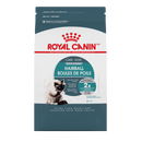 Royal Canin Indoor Hairball Care 14lb - Pisces Pet Emporium