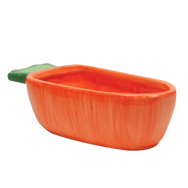 Kaytee Vege-T-Bowl - Carrot - Pisces Pet Emporium