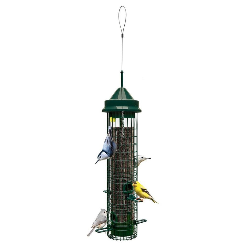 Brome Classic Squirrel Buster Bird Feeder | Pisces Pet Emporium