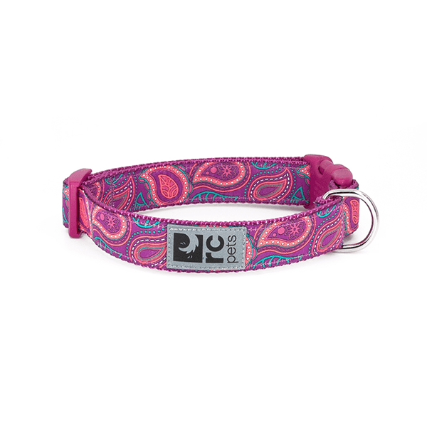 RC Pets Bright Paisley Clip Collar - Available in 4 Sizes - Pisces Pet Emporium