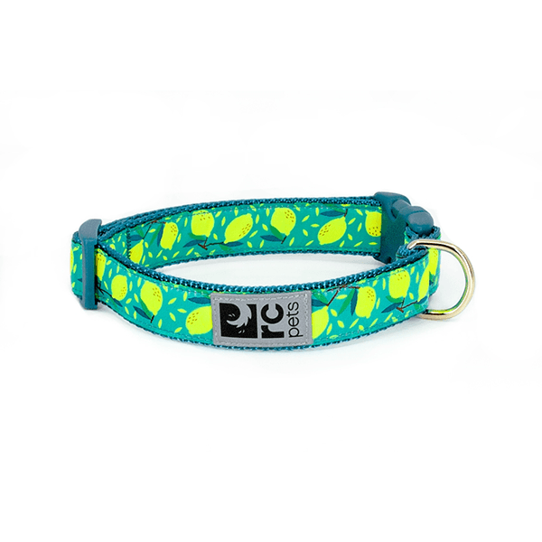 RC Pets Lemonade Clip Collar - Available in 4 Sizes - Pisces Pet Emporium