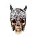 Aqua Fit Medieval Skull - Pisces Pet Emporium