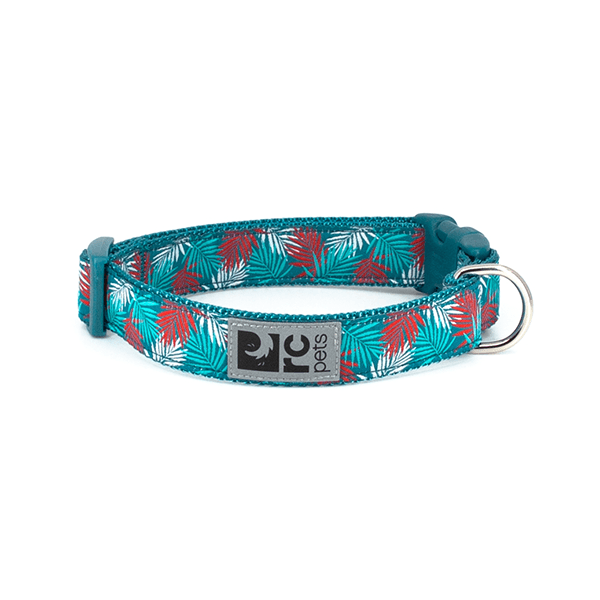 RC Pets Maldives Clip Collar - Available in 4 Sizes - Pisces Pet Emporium