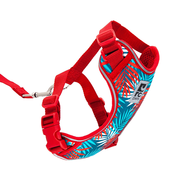 RC Pets Maldives Adventure Kitty Harness - Available in 3 Sizes - Pisces Pet Emporium