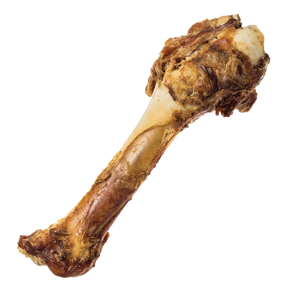 RedBarn Shank Bone - Pisces Pet Emporium