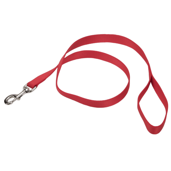 Coastal Pet Nylon Leash Red - 1" x 4' - Pisces Pet Emporium