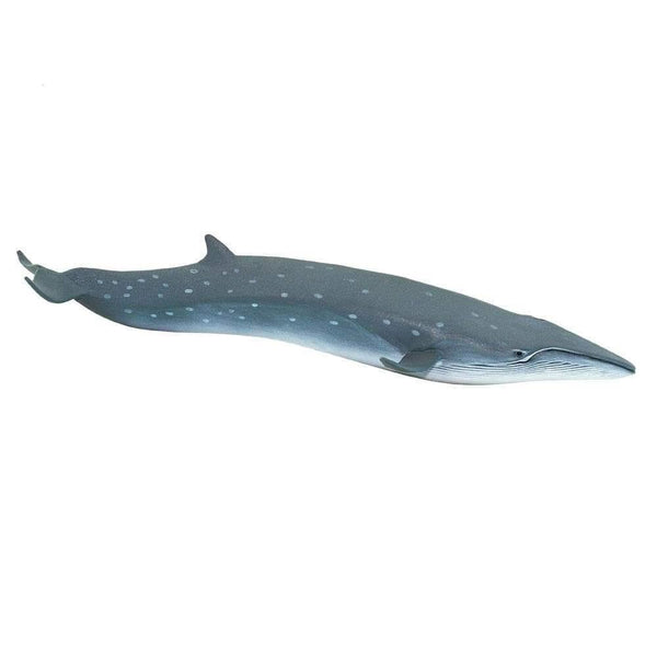 Safari Ltd. Sei Whale - Pisces Pet Emporium