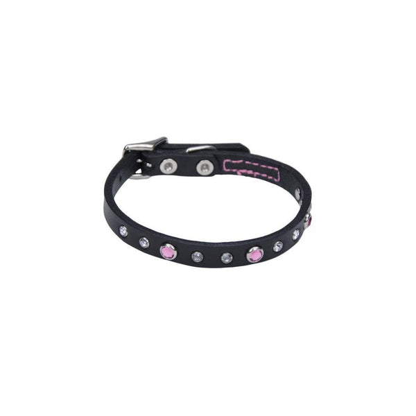 Coastal Circle T Leather Collar w/ Jewels 12" - Pink - Pisces Pet Emporium