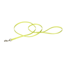 Coastal Pet Nylon Leash Lime - 3/8" x 4' - Pisces Pet Emporium