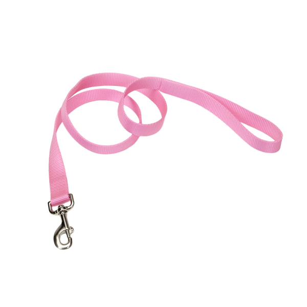 Coastal Pet Nylon Leash Bright Pink - 3/4" x 4' - Pisces Pet Emporium