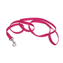 Coastal Pet Nylon Leash Flamingo - 1" x 6' - Pisces Pet Emporium