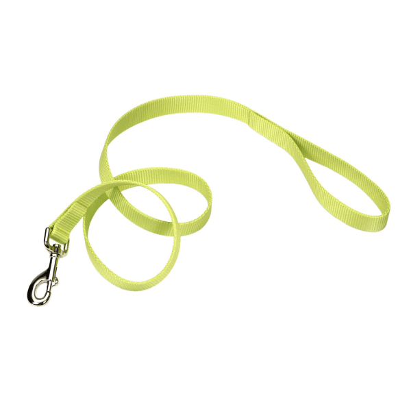 Coastal Pet Nylon Leash Lime - 1" x 4' - Pisces Pet Emporium