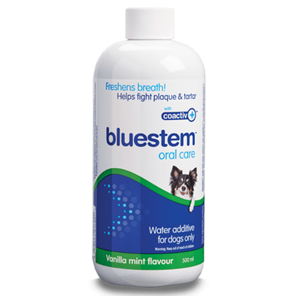 Bluestem Water Additive Vanilla Mint - 500ml - Pisces Pet Emporium