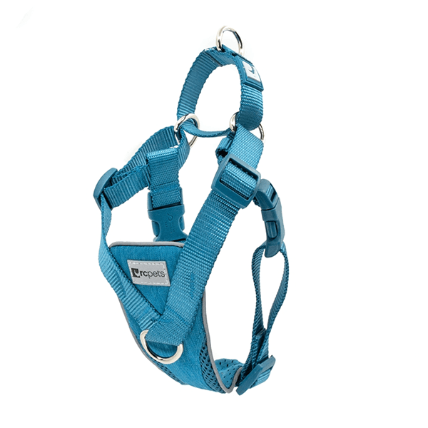 RC Pets Teal Tempo No Pull Harness - Available in 5 Sizes - Pisces Pet Emporium