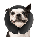 ZenPet Zen Collar The Original Pro Collar - Medium - Pisces Pet Emporium